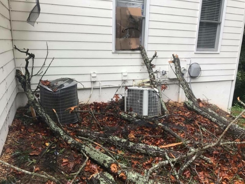 Sycon Restoration project photo 3