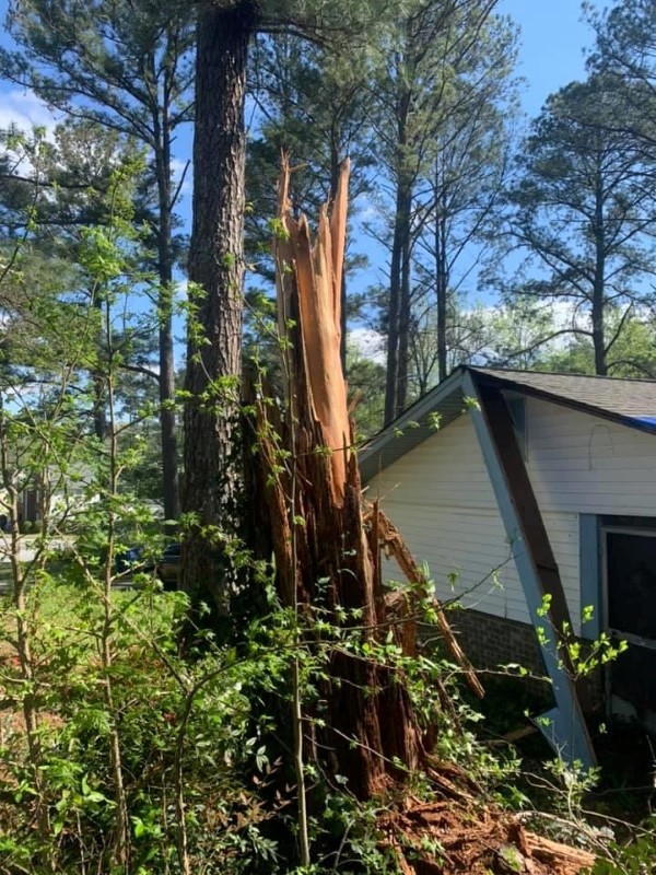 Sycon Restoration project photo 10