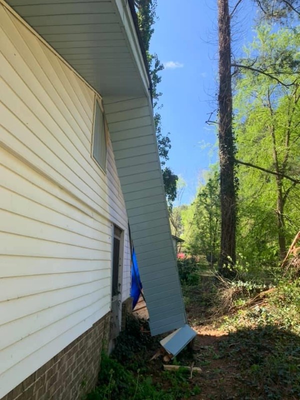 Sycon Restoration project photo 14